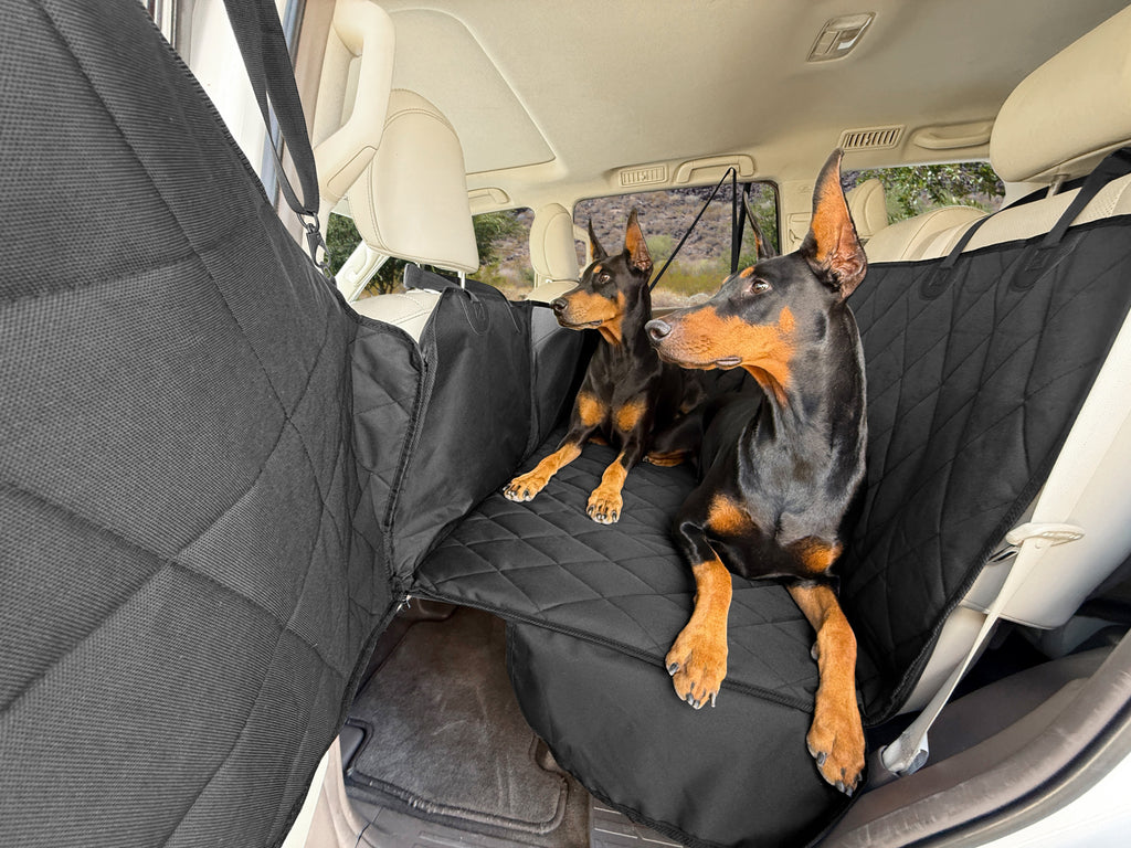 Doberman on a black 4Knines hard bottom extender that makes a flat platform across a car's back seat