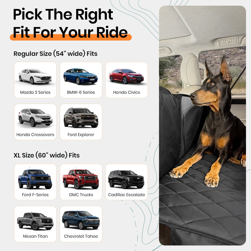 4Knines size guide showing car models for the Regular 54 in size and truck models for the XL 60 in size