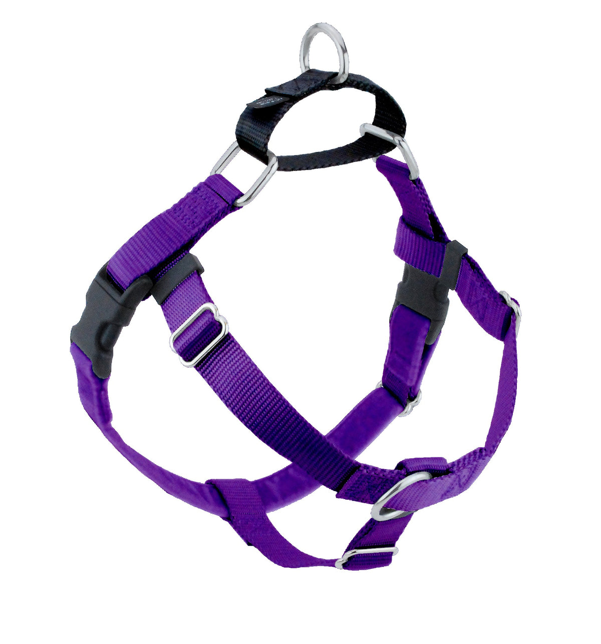 2 Hounds Freedom dog harness in purple with black buckles, a front ring and a black back loop with a metal ring