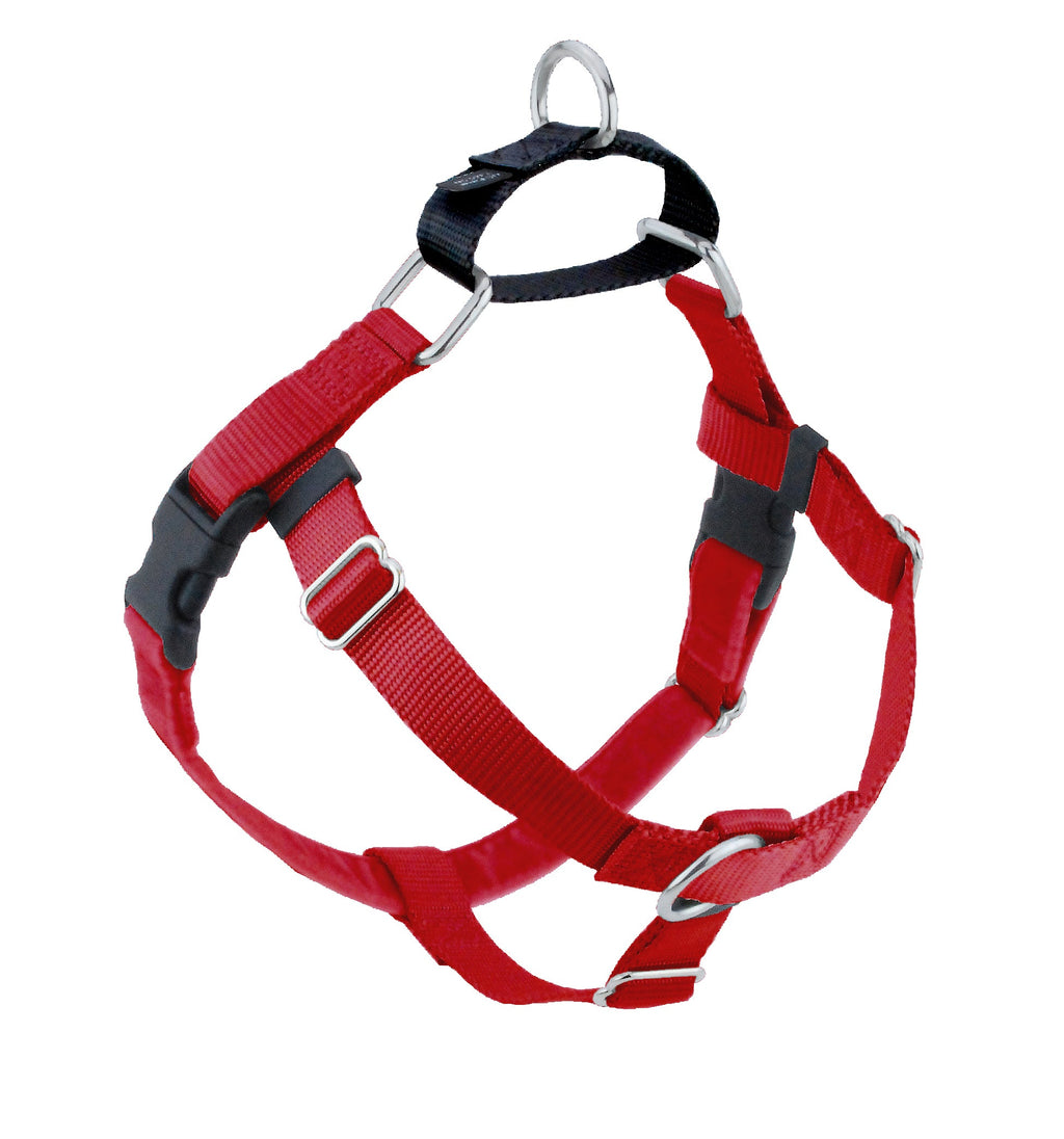 2 Hounds Freedom dog harness in red with black buckles, a front ring and a black back loop with a metal ring
