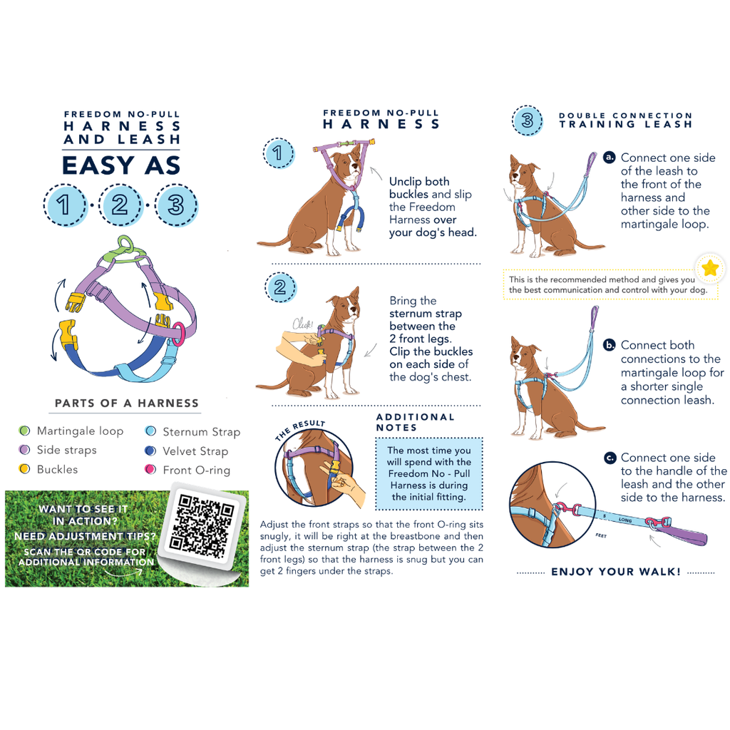 Illustrated three-step guide to putting on the Freedom harness and connecting a double-ended leash