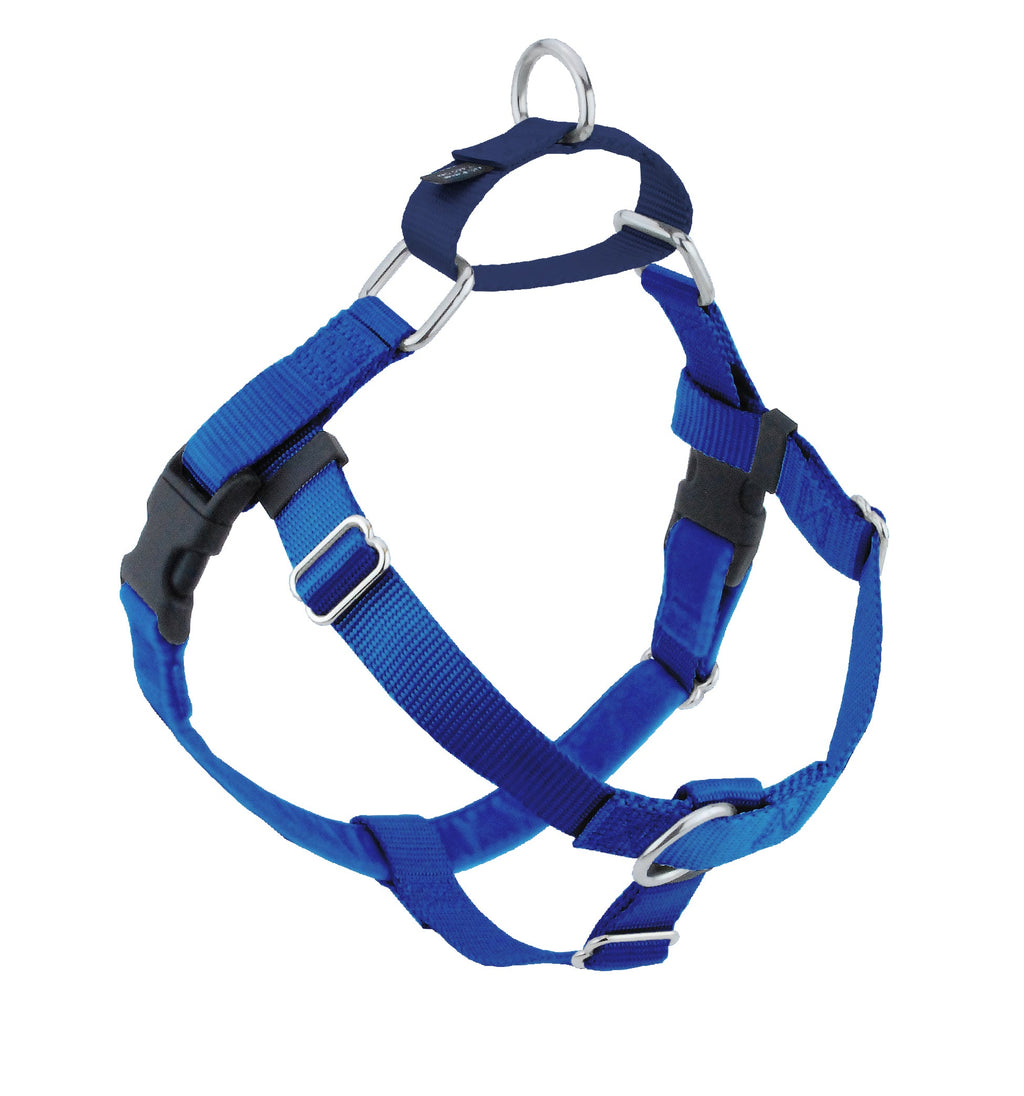 2 Hounds Freedom dog harness in royal blue with black buckles, a front ring and a navy back loop with a metal ring