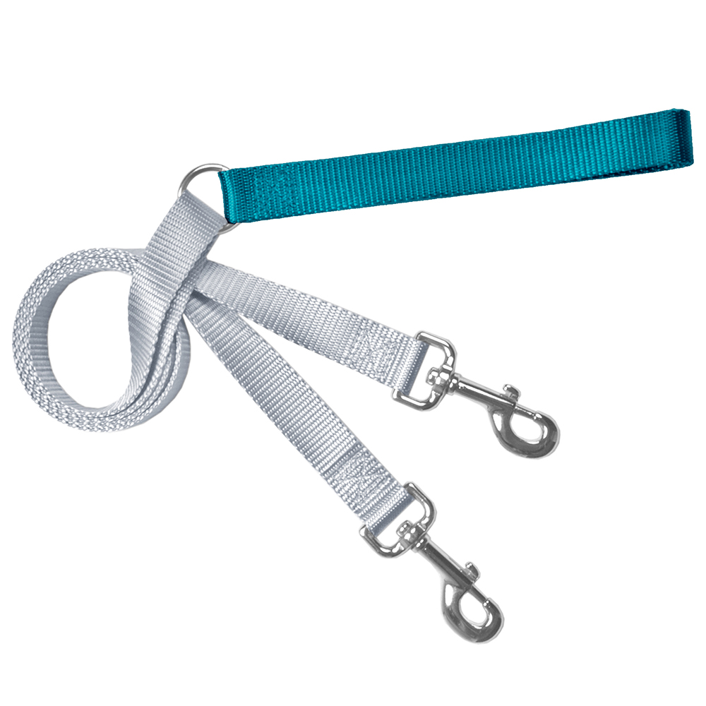 Teal and silver double-ended training leash with two metal clips and a handle