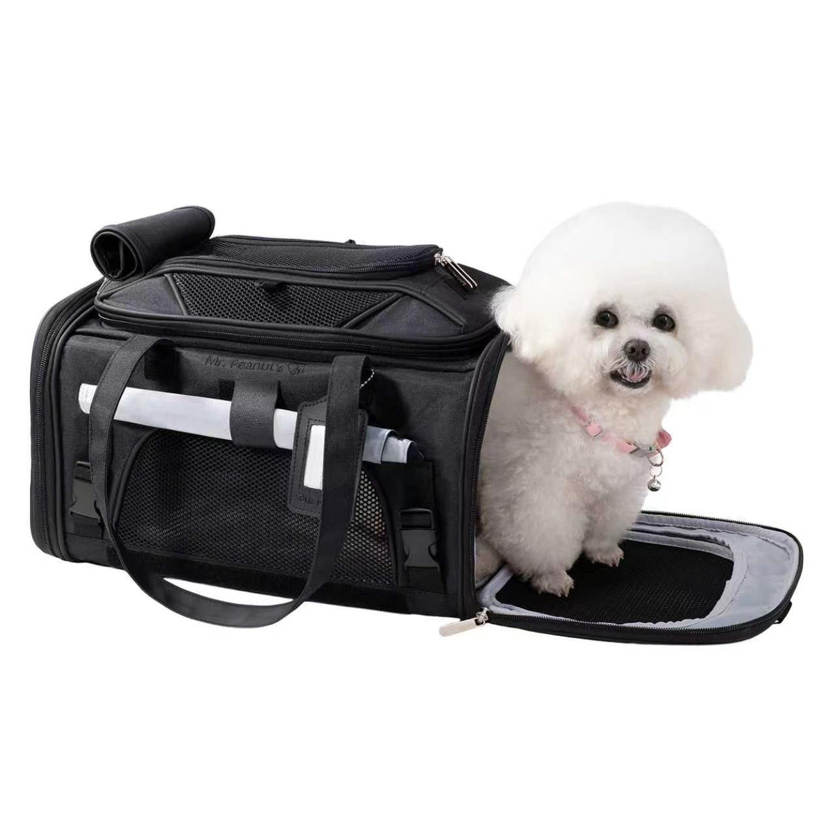 Small white dog stepping out of a black Gold Series Mini carrier with the privacy cover rolled up