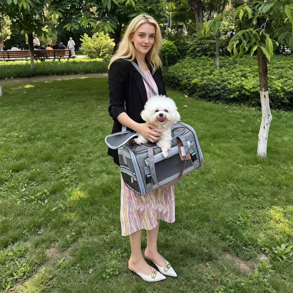 Woman in a park holding a small white dog inside a gray Gold Series Mini carrier