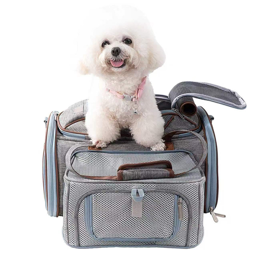 Small white dog sitting on top of a gray Gold Series Mini carrier with the top flap open
