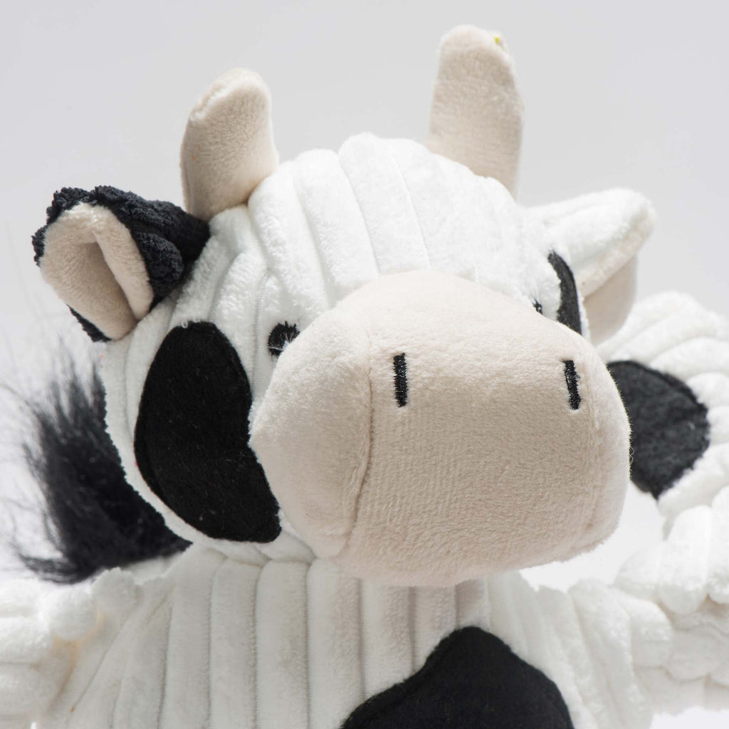 Close-up of the cow Knottie's face with a cream muzzle, black ear and spots