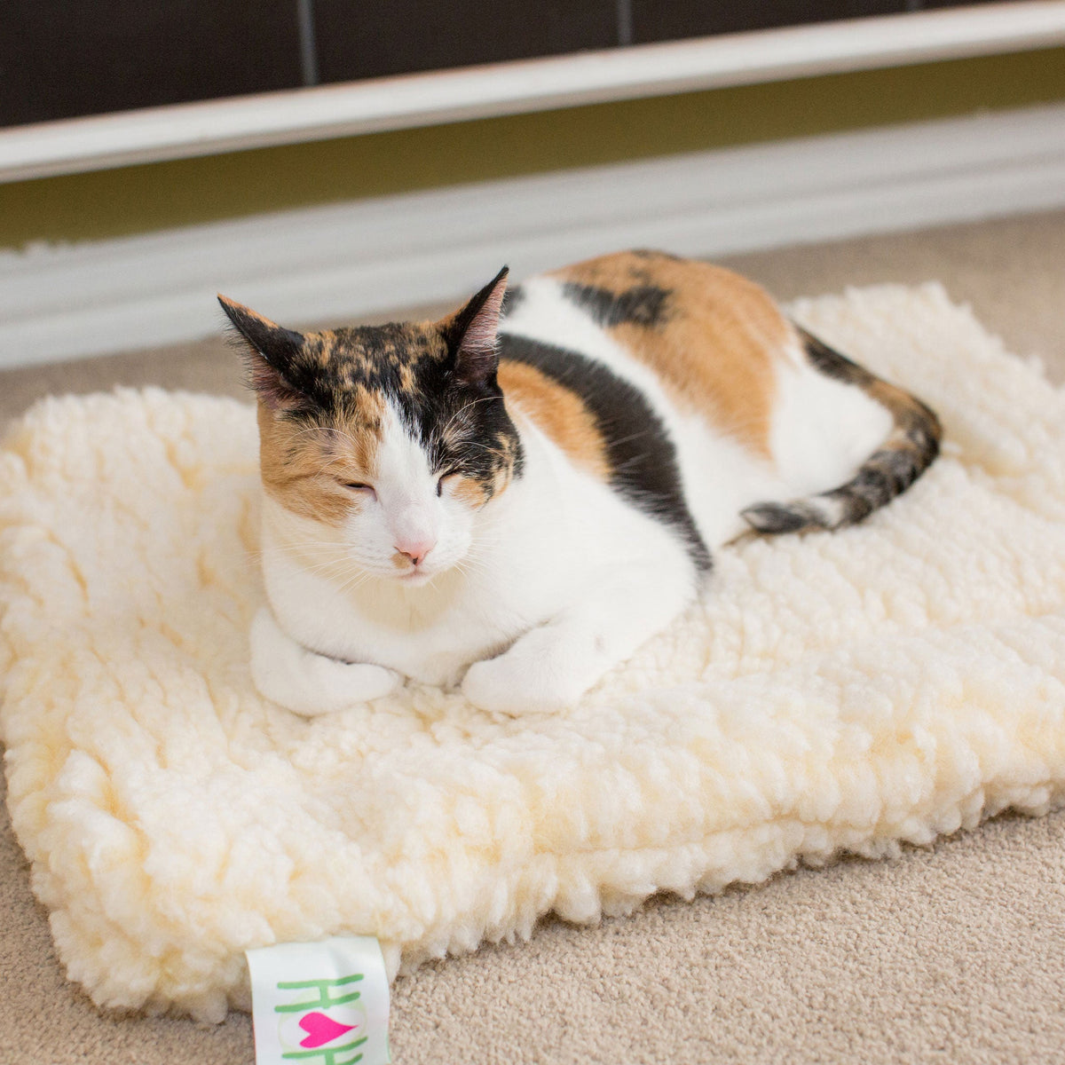 Calico cat dozing on a cream fleece mat