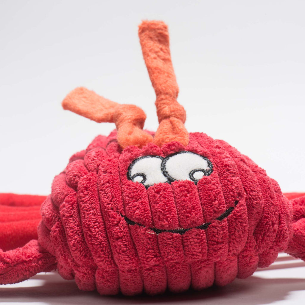 Close-up of the lobster toy's smiling face and orange antennae
