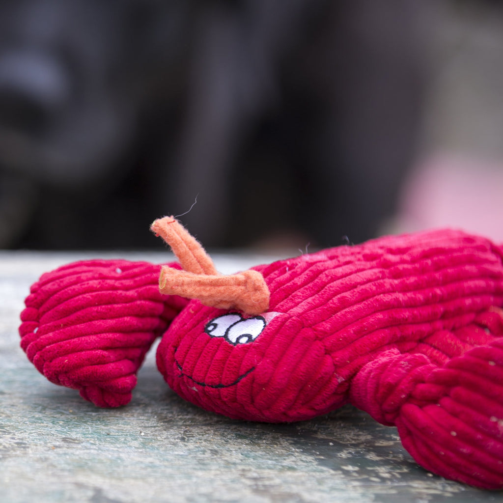 Red lobster plush dog toy lying on a stone surface beside a dark dog