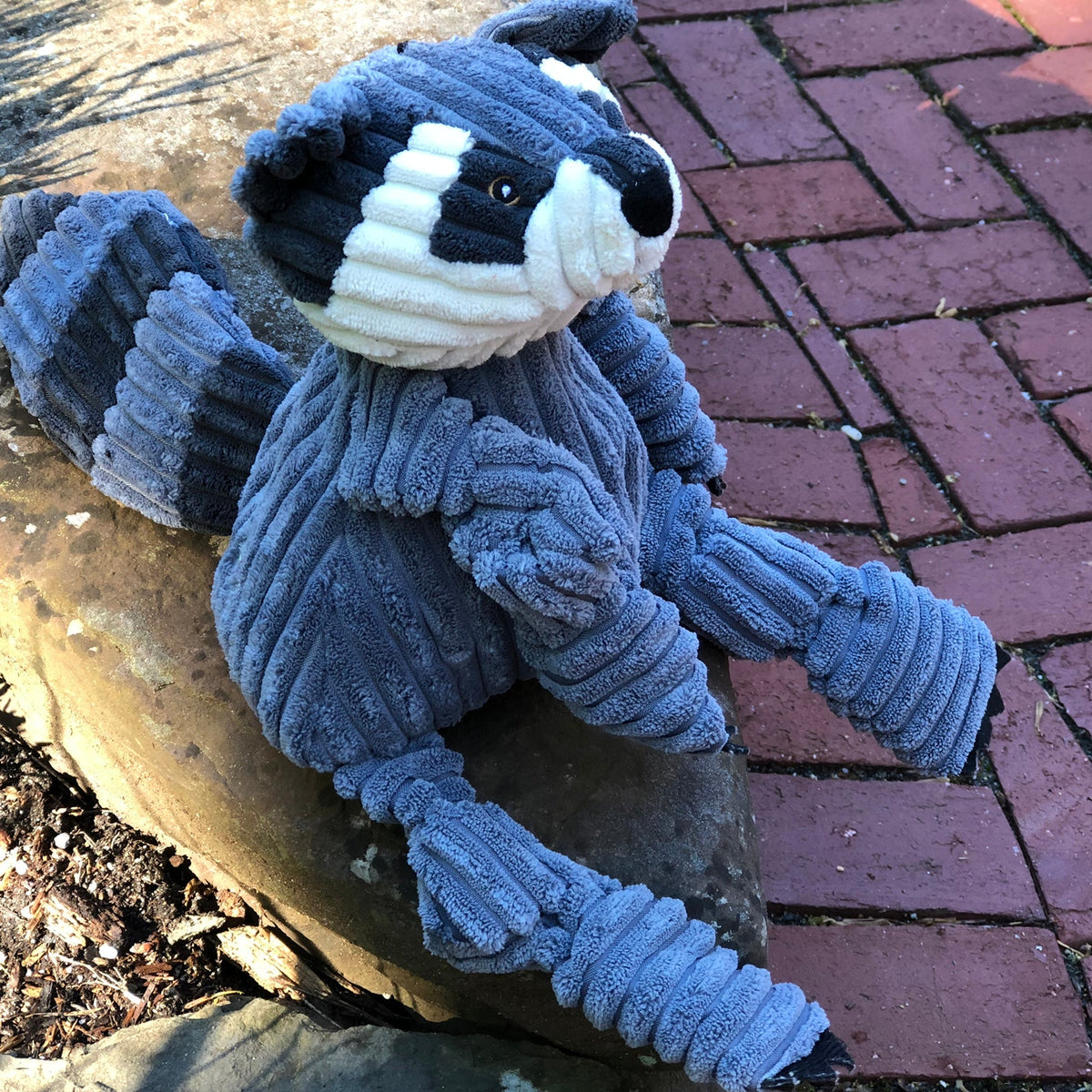 Blue-gray raccoon plush dog toy sitting on a brick path outdoors