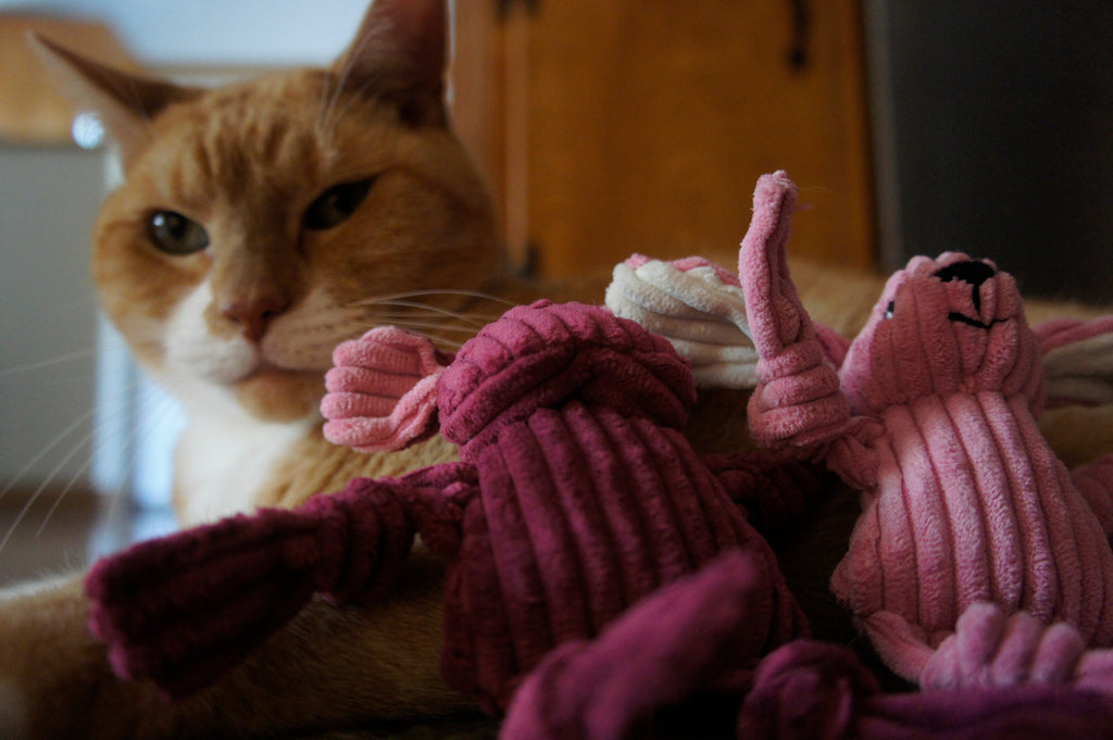 Orange and white cat resting beside two pink corduroy woodland toys