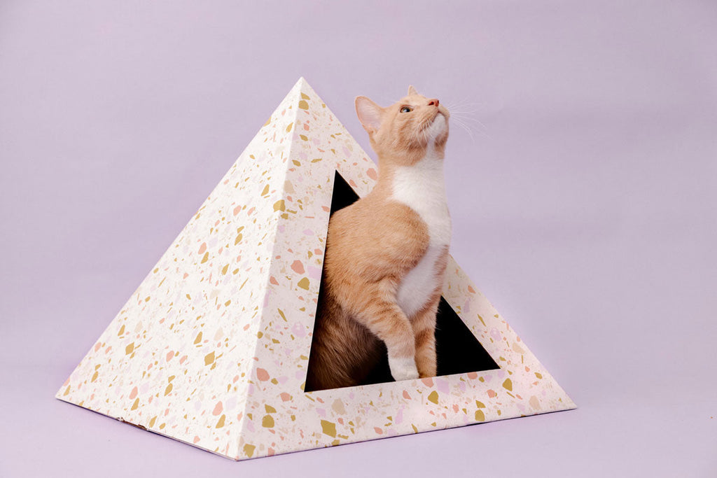 Orange and white cat sitting in a terrazzo-pattern cardboard cat pyramid