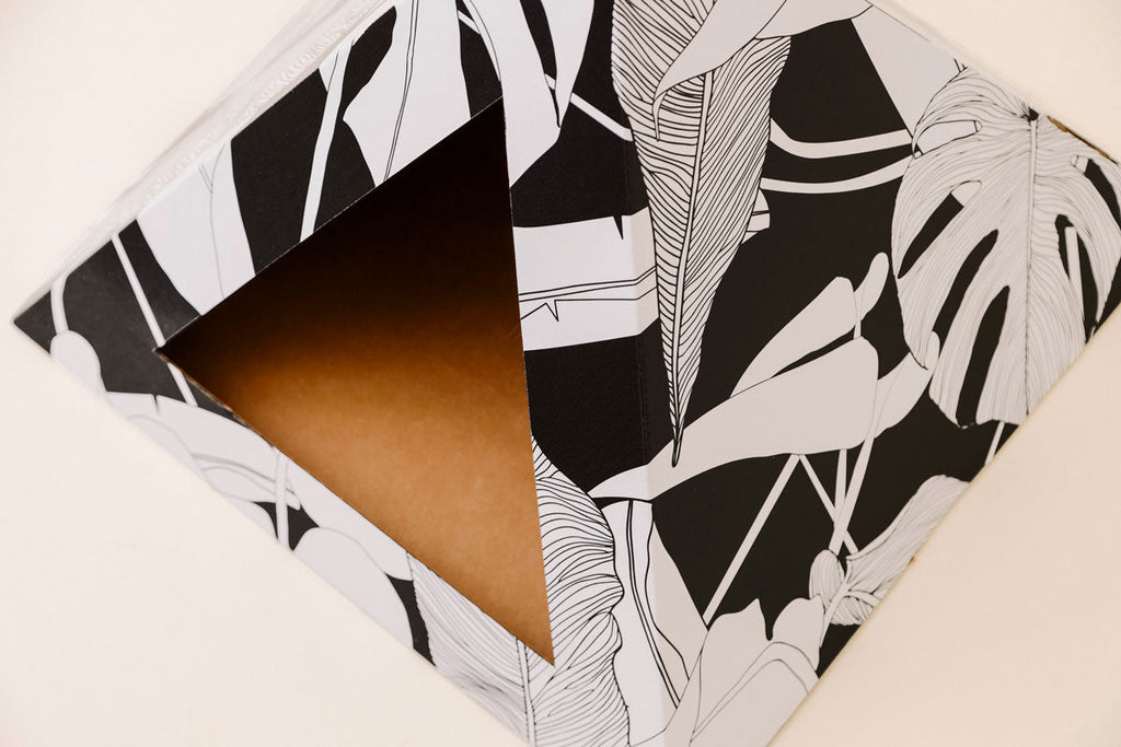 Close-up of the black and white palm-leaf pyramid's triangle doorway