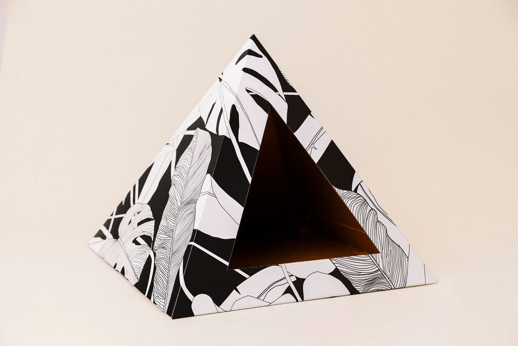 Empty black and white palm-leaf cardboard cat pyramid
