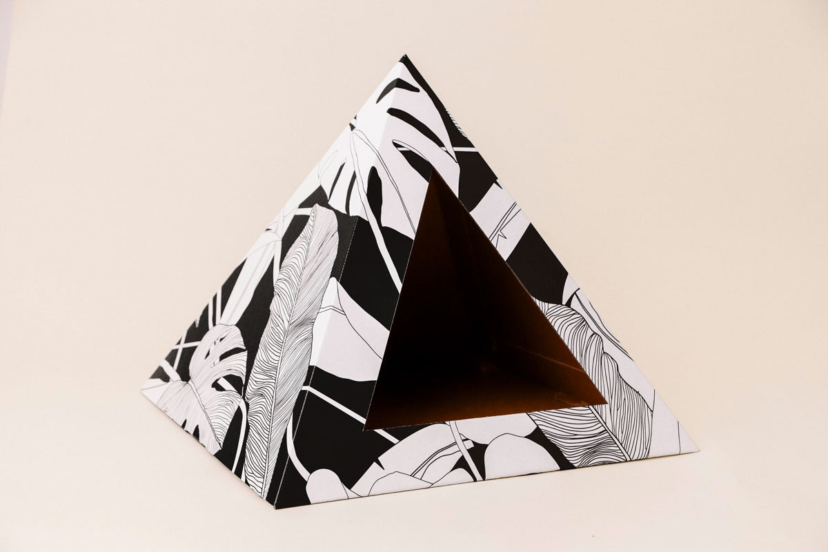 Empty black and white palm-leaf cardboard cat pyramid
