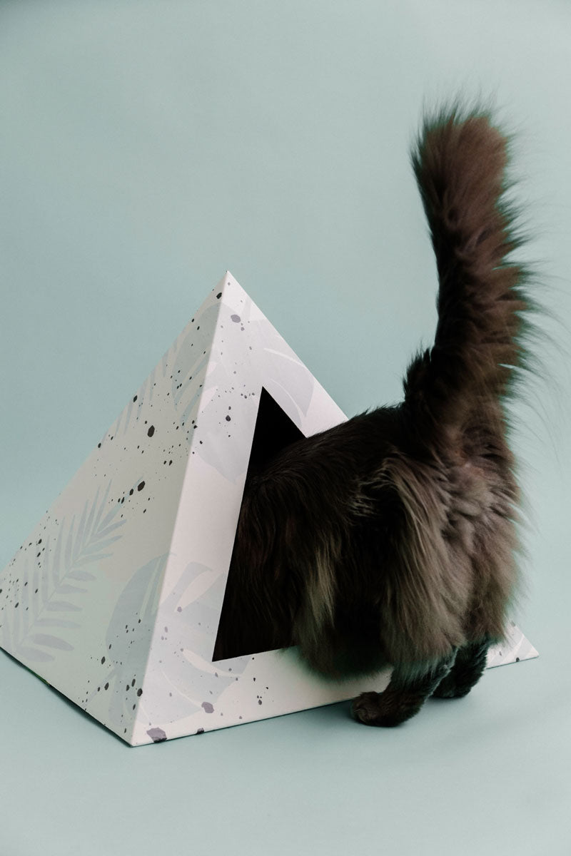 Oasis Cardboard Cat Pyramid | Bean & Paw