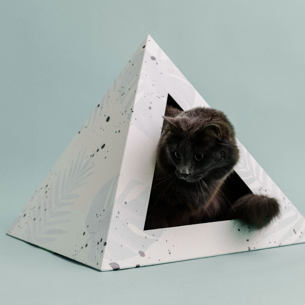 Black long-haired cat peeking out of a leaf-print cardboard cat pyramid