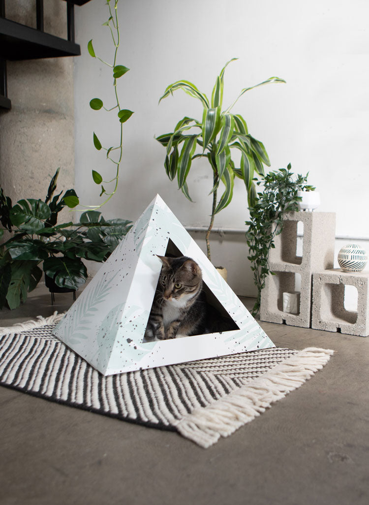 Oasis Cardboard Cat Pyramid | Bean & Paw