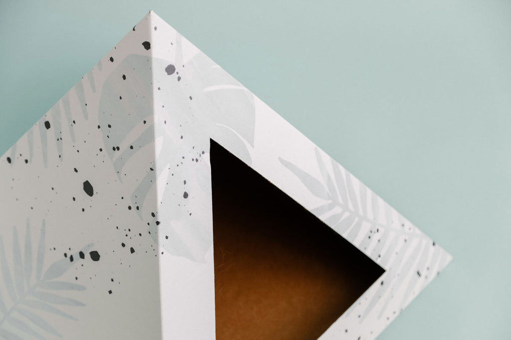 Oasis Cardboard Cat Pyramid | Bean & Paw