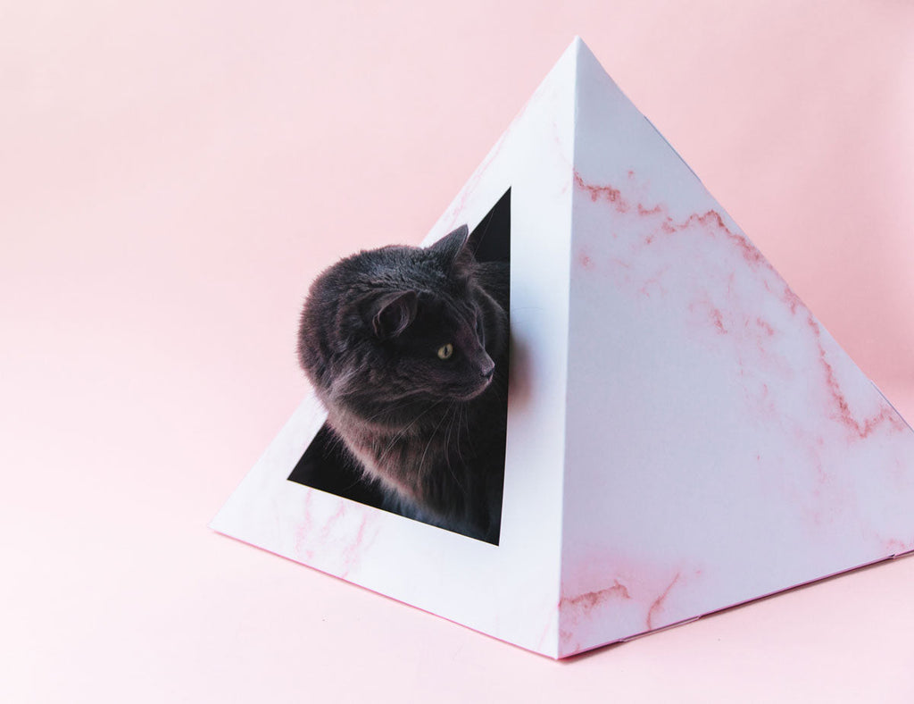 Dark gray cat peeking out of a pink marble-print cardboard cat pyramid