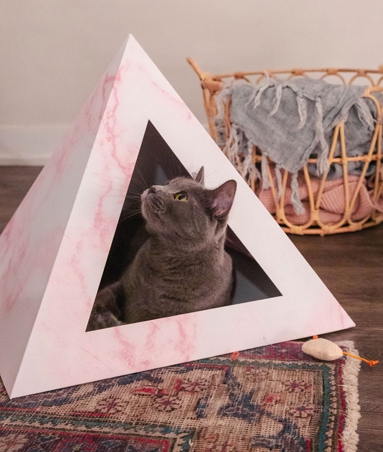Gray cat sitting inside a pink marble-print cardboard pyramid on a patterned rug