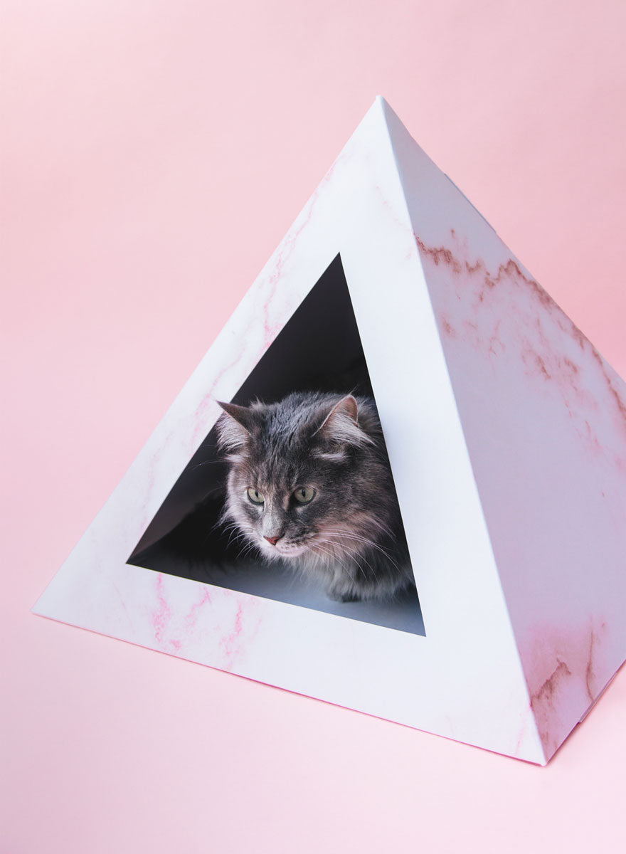 Long-haired tabby cat sitting inside a pink marble-print cardboard pyramid