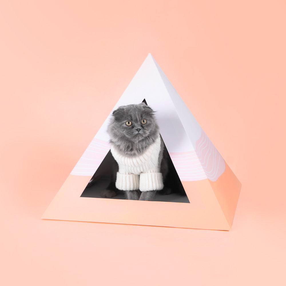 Gray cat in a white sweater sitting inside a white and peach Wavey cardboard cat pyramid