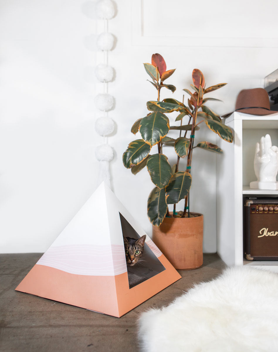 Tabby cat peeking out of a white and peach cardboard cat pyramid beside a plant and a fur rug