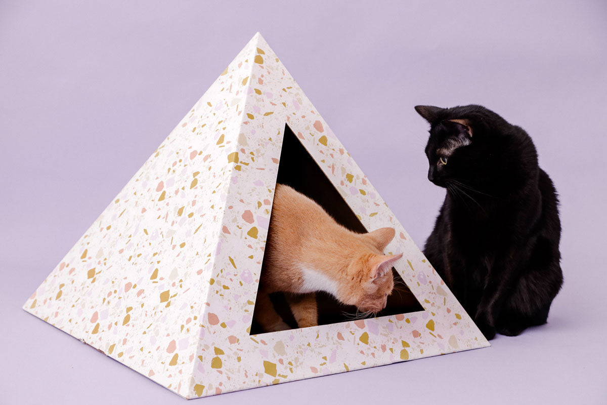 Orange cat inside and a black cat beside a terrazzo cardboard cat pyramid