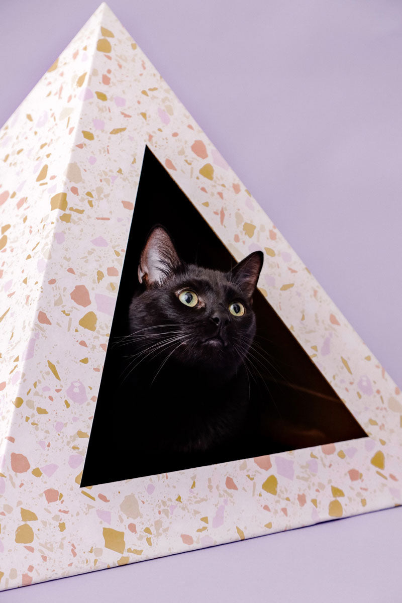 Black cat looking out of a terrazzo-pattern cardboard cat pyramid