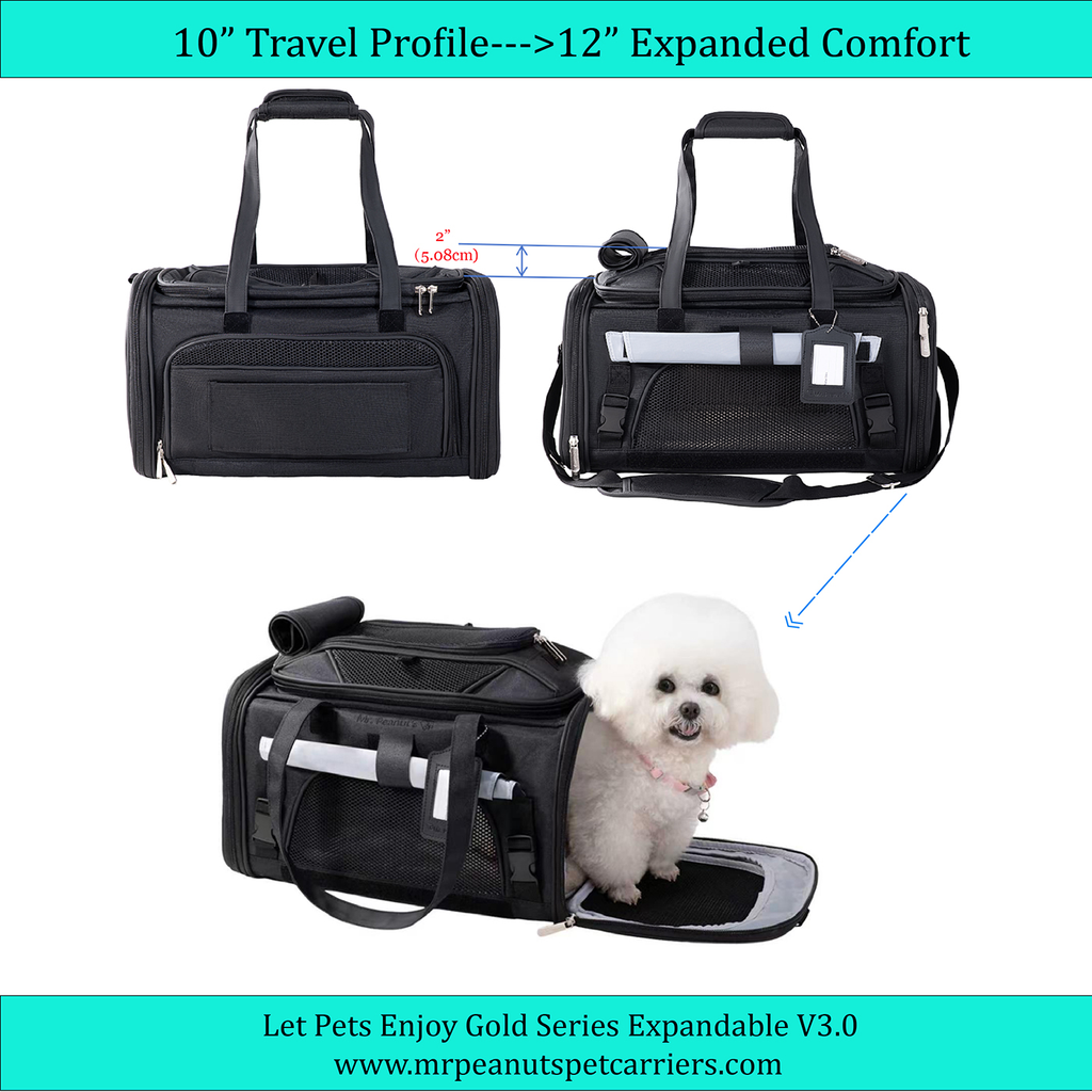Black carrier shown 10 in high closed and 12 in with the top expanded, and a small white dog stepping out