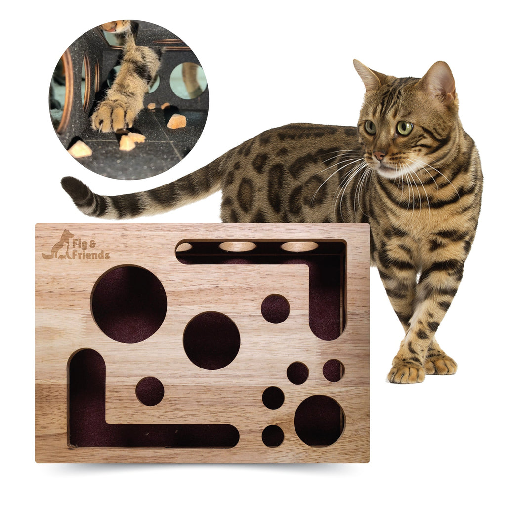Bengal cat beside a wooden puzzle box with round cut-out holes
