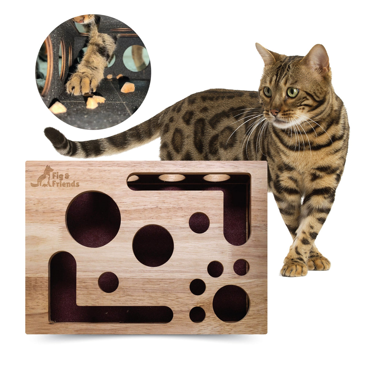 Bengal cat beside a wooden puzzle box with round cut-out holes