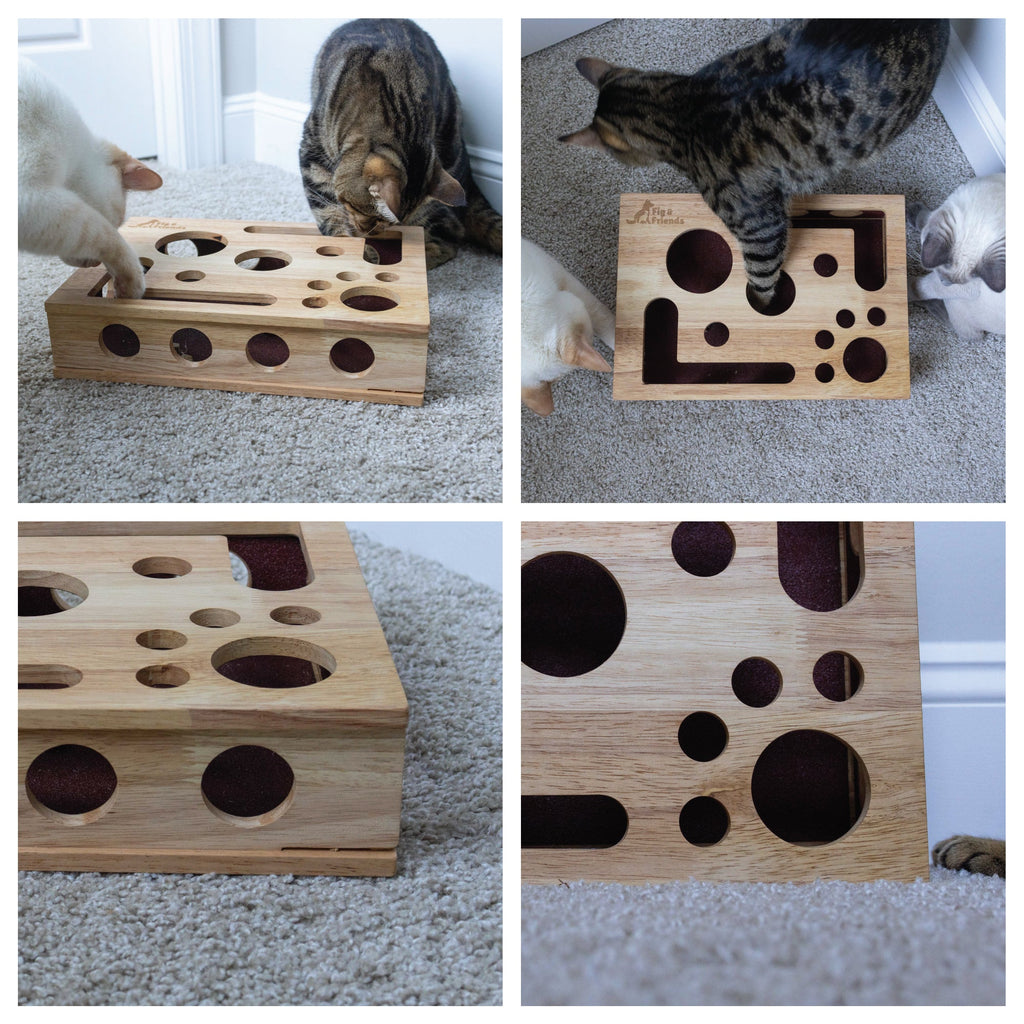 Four photos of a cat reaching paws into the wooden puzzle box holes