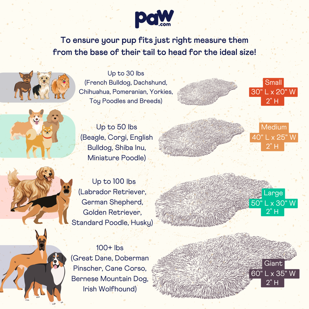 PupRug size chart: Small 30 × 20, Medium 40 × 25, Large 50 × 30 and Giant 60 × 35 inches, each 2 inches high