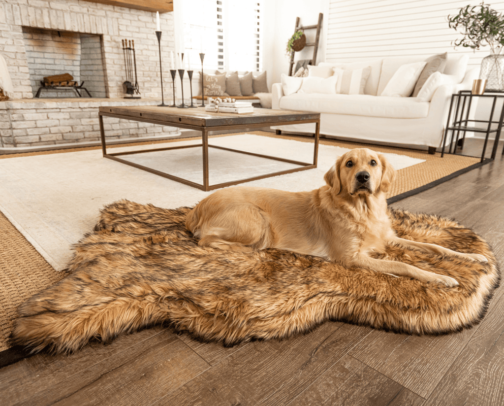 Golden retriever resting on a sable tan faux fur dog bed in a living room with a fireplace