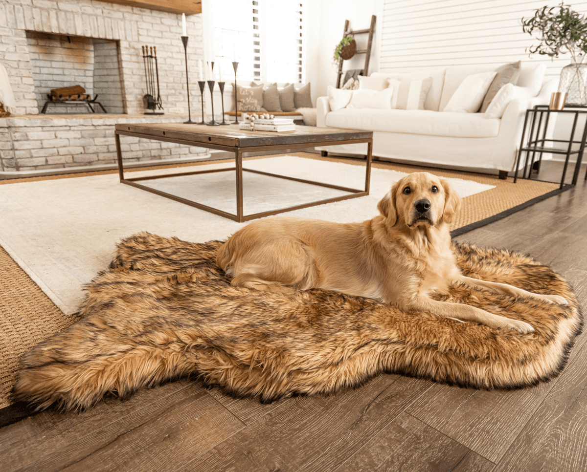 Golden retriever resting on a sable tan faux fur dog bed in a living room with a fireplace