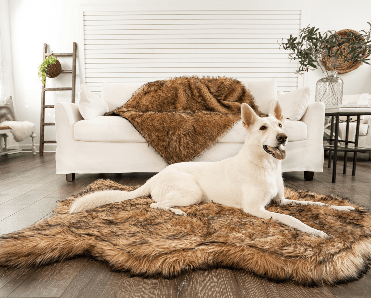 White shepherd dog on the sable tan curve bed, with a matching sable throw on the sofa behind