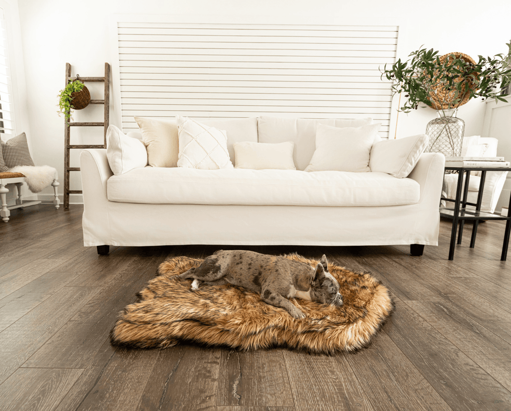 Small gray dog lying on a sable tan faux fur curve bed on a wood floor beside a white sofa