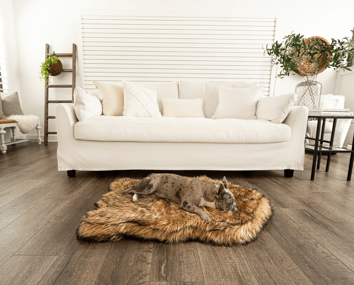 Small gray dog lying on a sable tan faux fur curve bed on a wood floor beside a white sofa