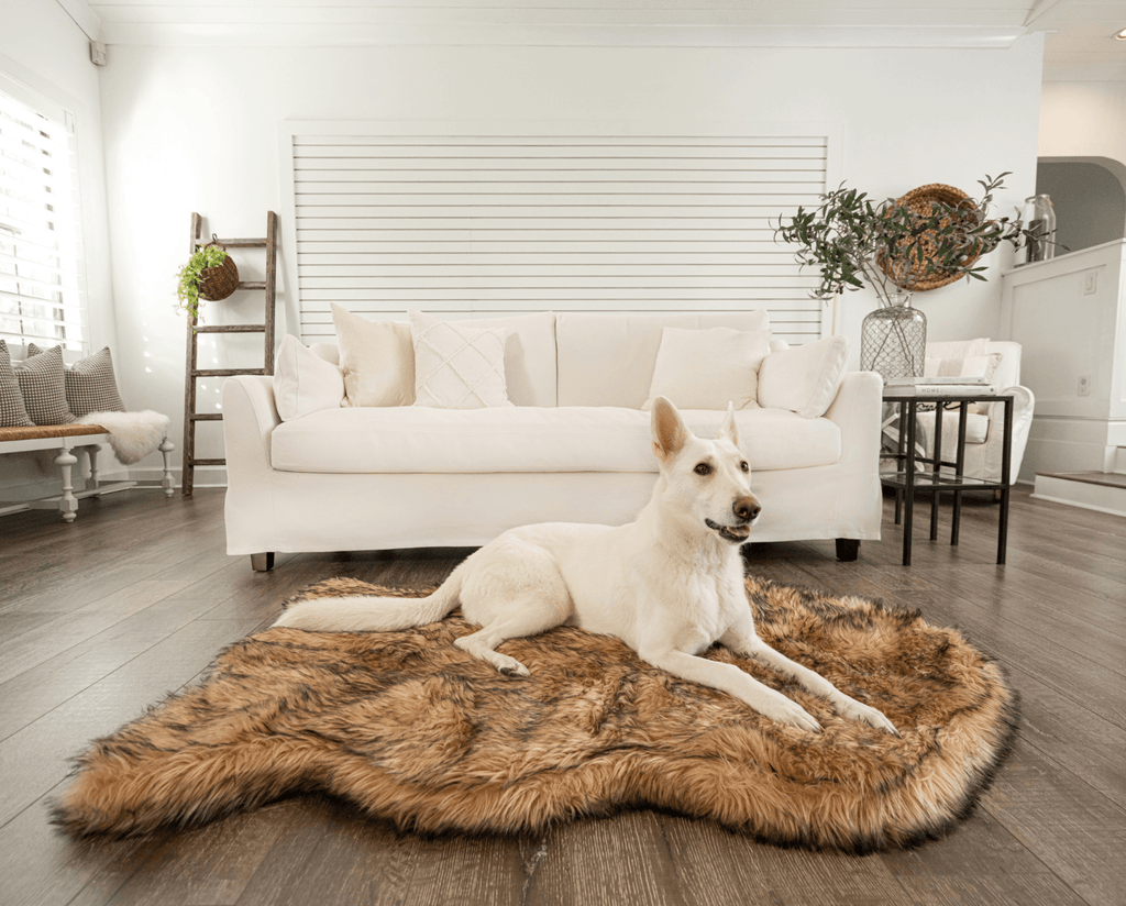 White shepherd dog lying on a sable tan faux fur curve dog bed in front of a white sofa