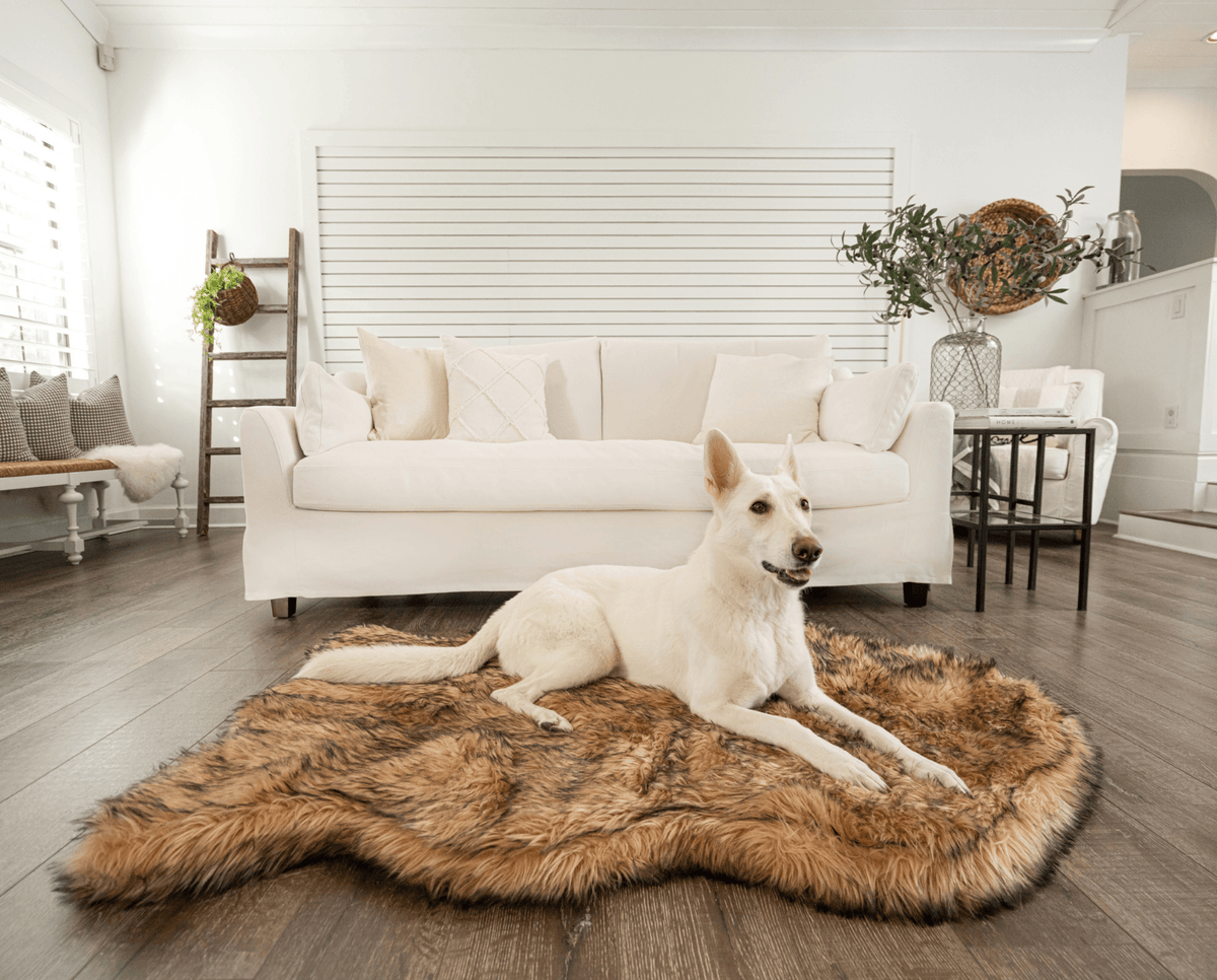 White shepherd dog lying on a sable tan faux fur curve dog bed in front of a white sofa