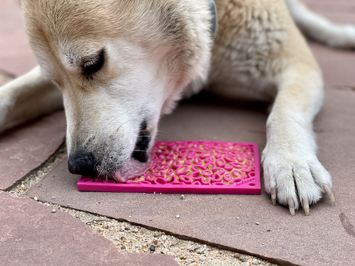 Cream-colored dog licking a pink lick mat on a stone patio