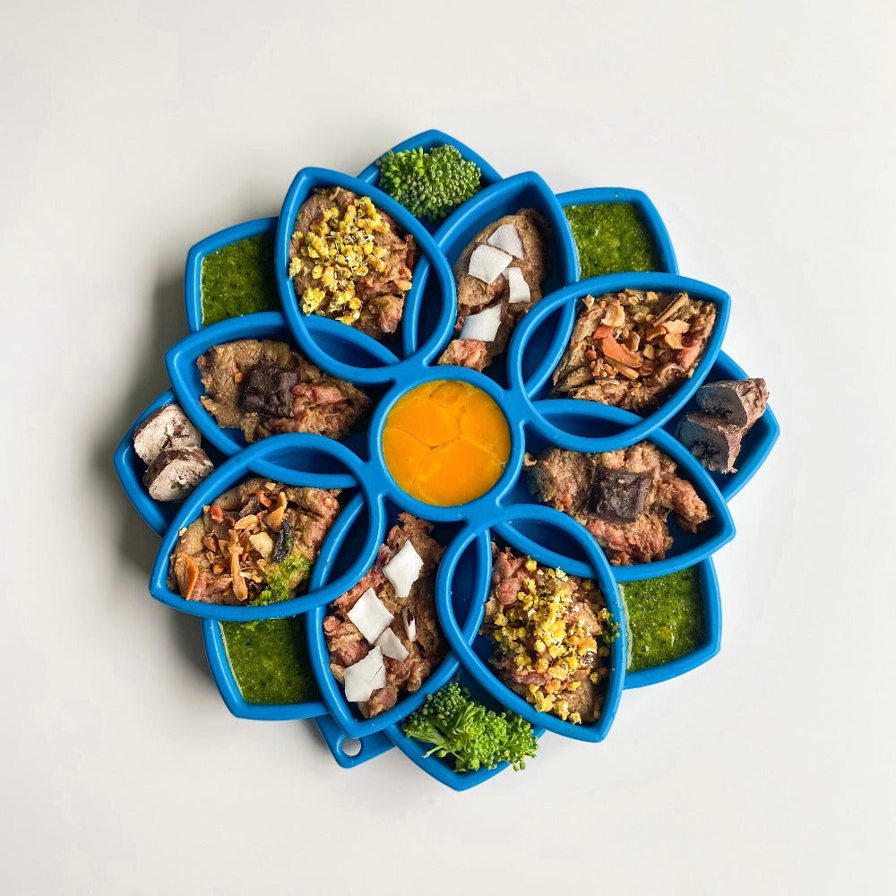 Blue flower feeder filled with food, seen from above