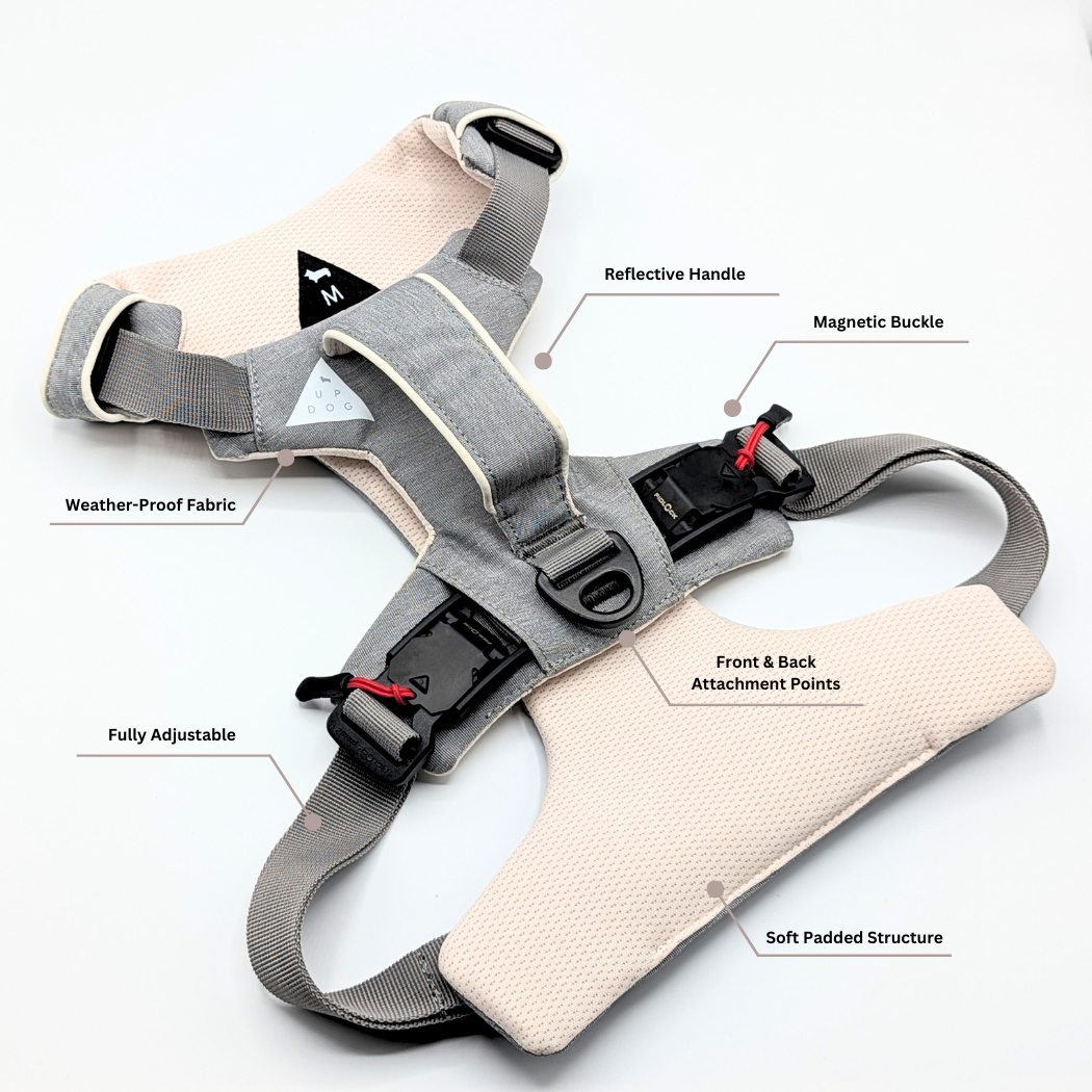 Gray and cream dog harness laid flat with labelled features