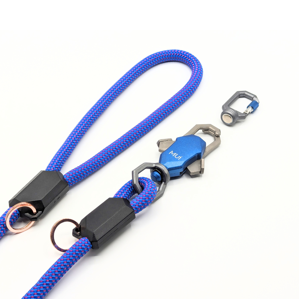 Blue rope leash with a magnetic latch and clip