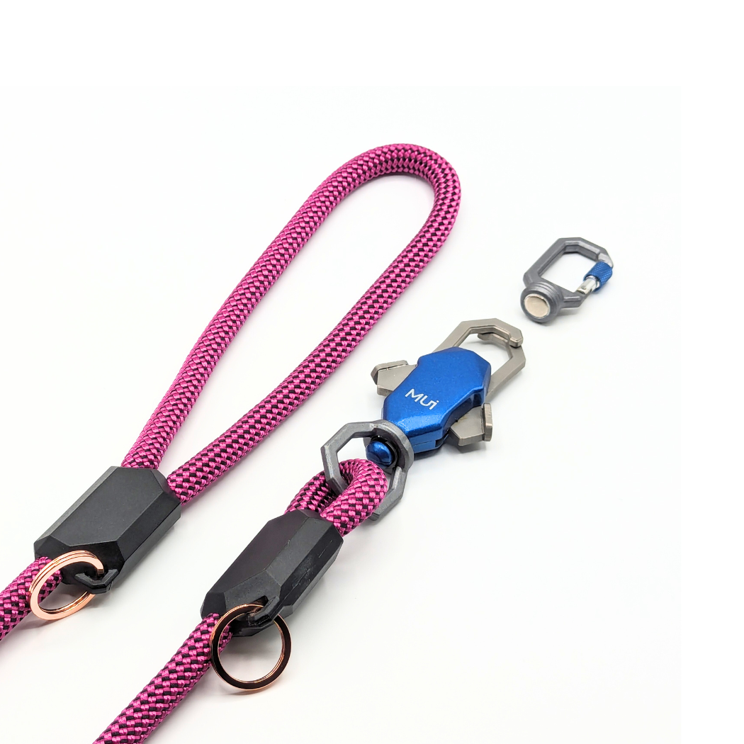 Pink rope leash with a magnetic latch and clip