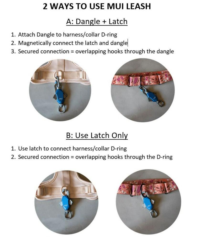 Two ways to attach the magnetic leash, with photo steps