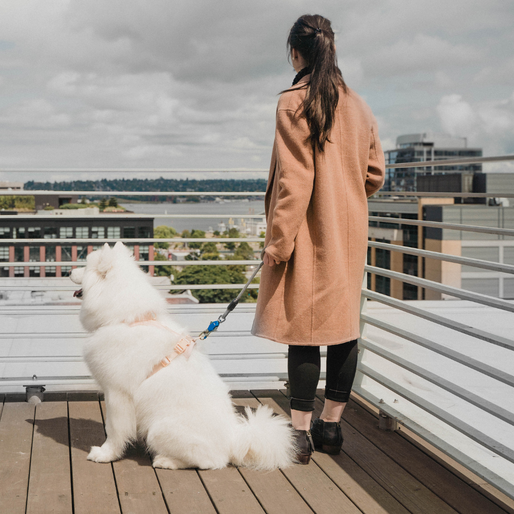 Woman in a long coat standing with a white dog on a balcony